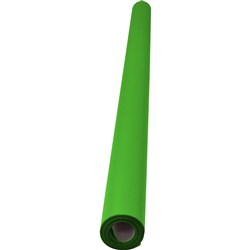 Rainbow Poster Roll 85gsm 760mmx10m Grass Green