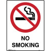 Brady Prohibition Sign No Smoking 450x600mm Polypropylene