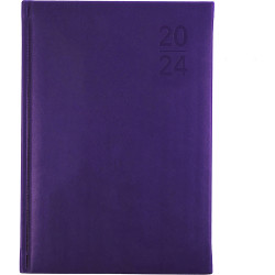 Debden Silhouette Diary A5 Day To Page Purple