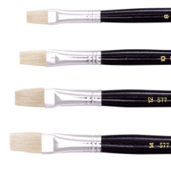 Jasart Hog Bristle Series 577 Flat Brushes Size 16 Pack Of 12