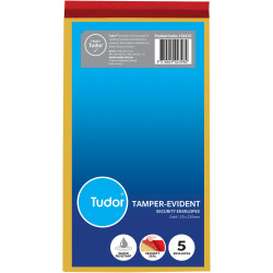 TUDOR TAMPER EVIDENT Security Envelope 125x230mm