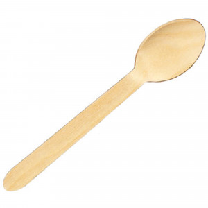 Earth Recyclable Wooden Spoon 160mm Pack of 100