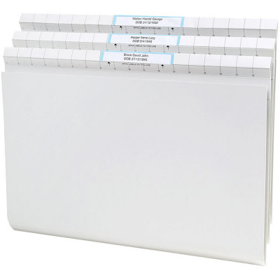 Avery Foolscap Quickvue Files 367x242mm White Box of 50